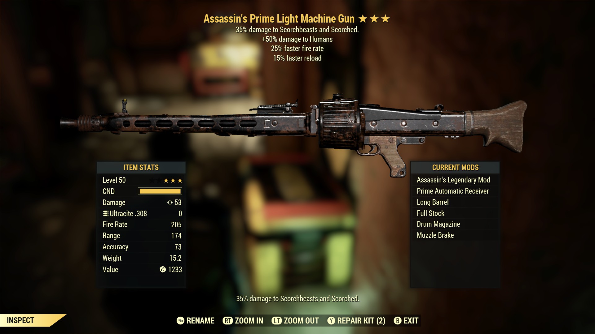 Assassin's Prime Light Machine Gun