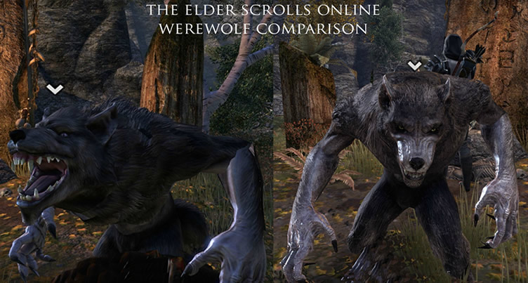The Elder Scrolls Online Werewolf
