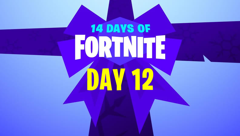 14 Days of Fortnite Day 12