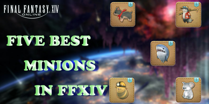 Final Fantasy Xiv Guide Here Are 5 Best Minions That You Really Need Ffxiv4gil Com