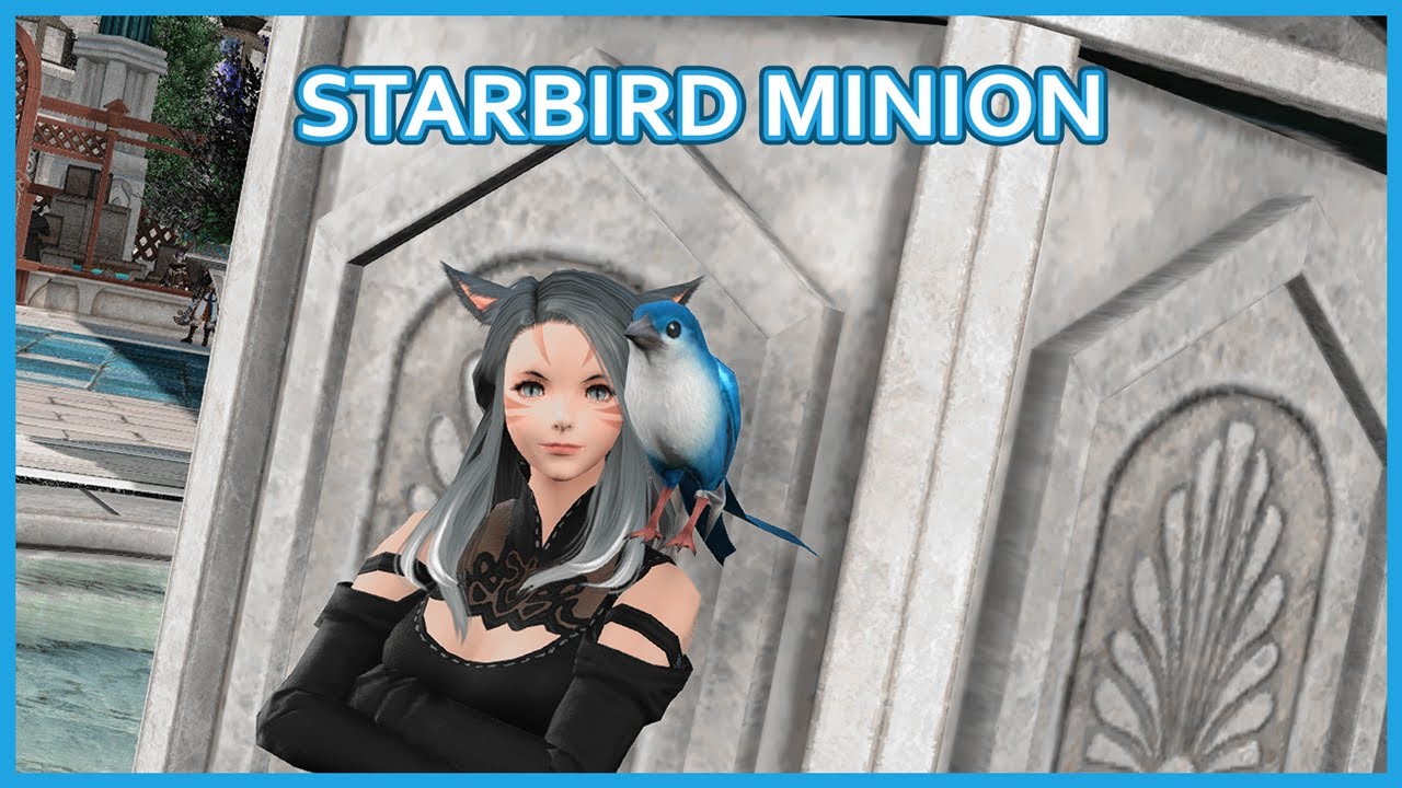 Starbird minion
