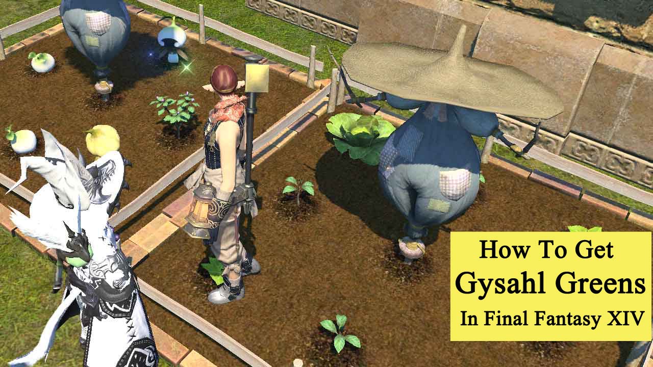 How to Get and Use Gysahl Greens in Final Fantasy XIV?
